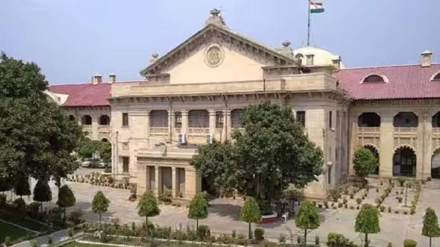 allahabad, hc, order