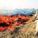 fire |stubble| air pollution