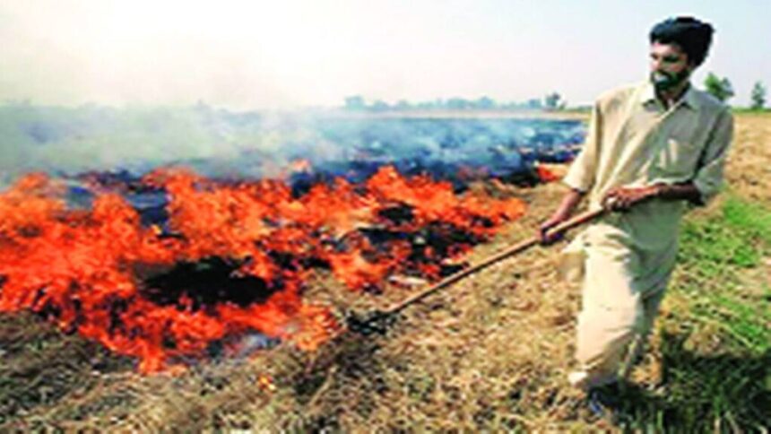 fire |stubble| air pollution