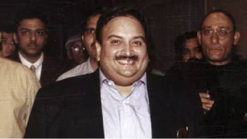 mehul choksi, hc, ed