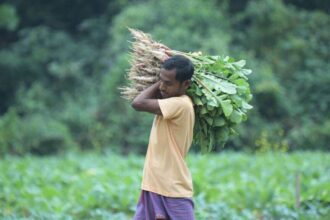 PM KISAN, PM KISAN News, PM KIsan Samman