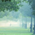 Air pollution| Delhi | NCR