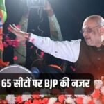 Lok Sabha Elections, BJP, Muslim Votes