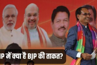 BJP, Madhya Pradesh, Assembly Elections