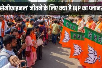 Assembly Elections, BJP, BJP Plan
