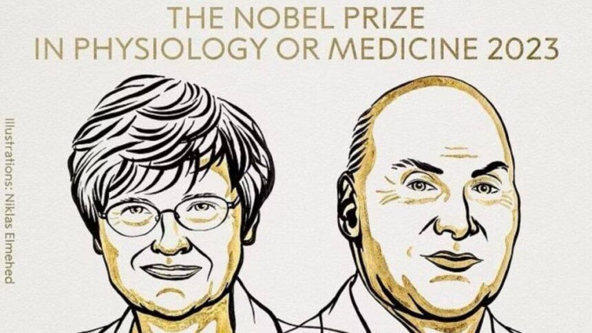 Catalin Carico | Drew Weissman