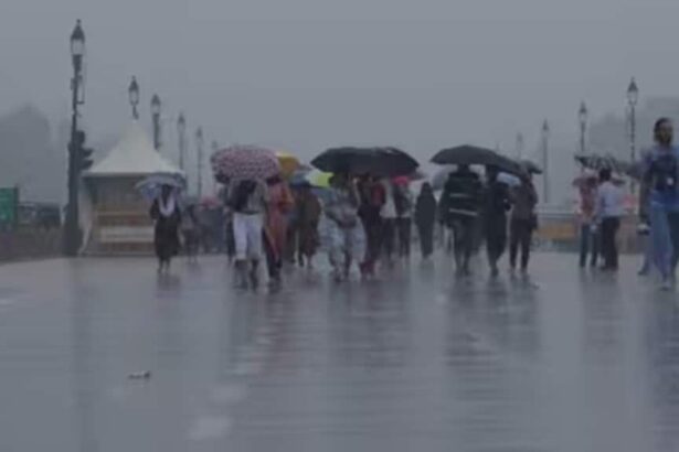 Delhi NCR Weather | Weather Update | Weather Forecast