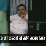 Sanjay Singh, Sanjay Singh News, ED Custody, Hindi News