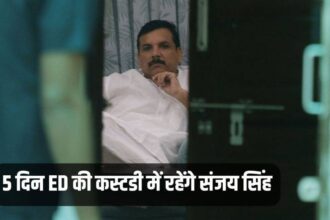 Sanjay Singh, Sanjay Singh News, ED Custody, Hindi News