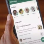 WhatsApp | WhatsApp Channels | WhatsApp Feature