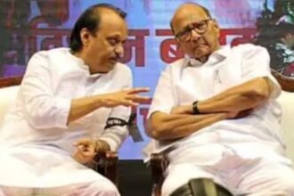 ajit pawar| sharad pawar| maharashtra