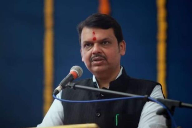 Maharashtra Politics | Lok Sabha elections | Devendra Fadnavis