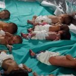 Israel Hamas War | Al Shifa hospital | gaza Shifa hospital