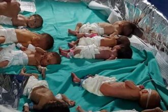 Israel Hamas War | Al Shifa hospital | gaza Shifa hospital