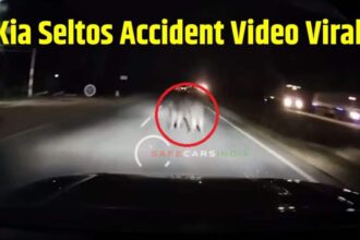 Kia Seltos Accident Viral Video । Car Accident Viral Video । Kia Seltos hits buffalo । Kia Seltos Buffalo Accident