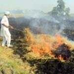 stubble burning| Punjab| delhi pollution