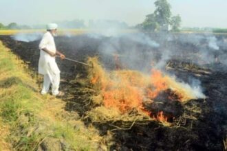 stubble burning| Punjab| delhi pollution
