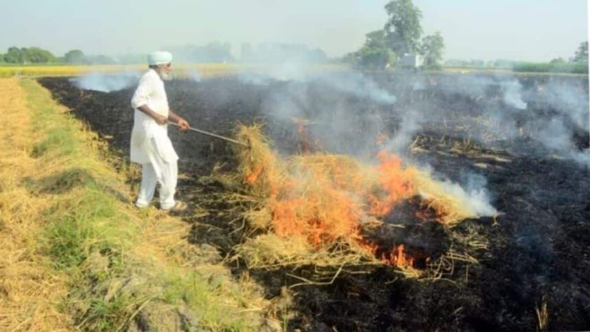 stubble burning| Punjab| delhi pollution