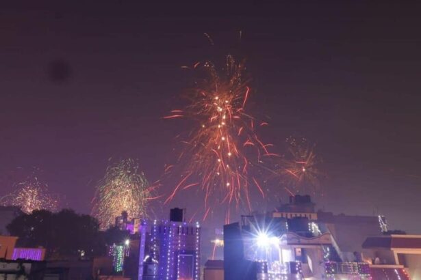 tamilnadu | diwali | bird sanctuary |