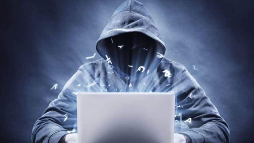 cyberfraud | cybercriminals| website