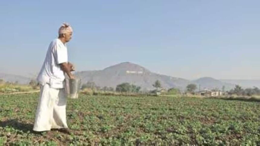 farmer| economy