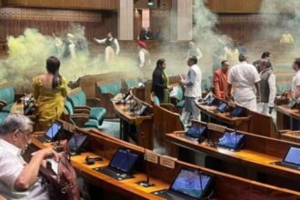 Loksabha Security breach | Loksabha Security | Parliament Security