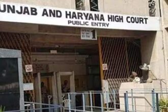punjab | haryana | high court | jail |