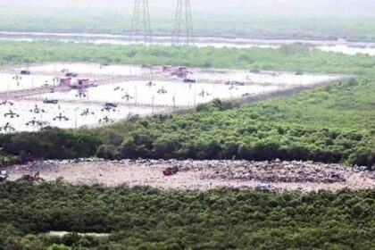Wetland| capture| Parliament committee